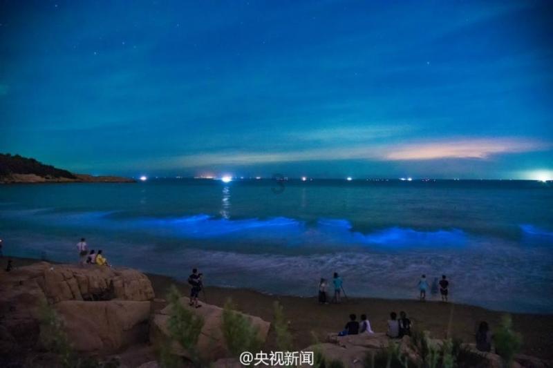 柳林县公安局开展打击整治网络谣言宣传活动